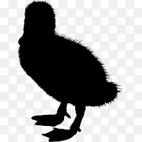 GIF鸭子，鹅和天鹅把艺术图像剪成黑色