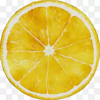 柠檬黄柠檬酸柑橘