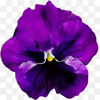 潘西花紫png图片花瓶