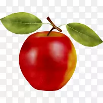 巴巴多斯樱桃苹果png图片电脑图标水果