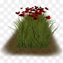 png图片剪辑艺术图片花下载-花
