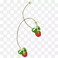 草莓果实-草莓