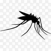 蚊子剪贴画昆虫轮廓线艺术