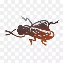 昆虫插图卡通传粉虫