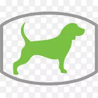 生态狗设计公司小狗训练犬遛狗
