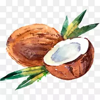 椰奶椰子水彩画.椰子
