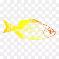 海洋生物学深海鱼类桌面壁纸