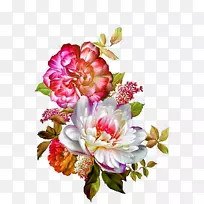 花卉图片水彩：花卉插画花卉设计.纺织品边框