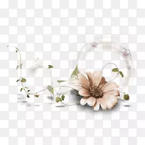 花瓶静物摄影花卉设计-多布罗传单