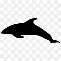 图库溪海狮虎鲸海豚剪贴画