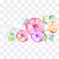 水彩：花卉水彩画图形水彩画花卉