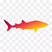 海洋生物区系鱼类红