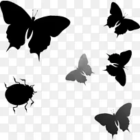 毛茸茸的蝴蝶，昆虫，字体，动物轮廓