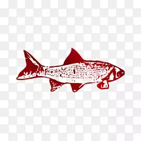 鲨鱼徽标书字体海洋