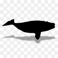 海豚动物群轮廓字体喙