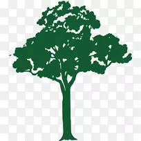 树枝，图形，剪贴画，版税-免费树