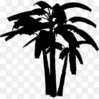 棕榈树剪裁艺术叶植物茎花