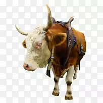 牛牛磺酸牛德克萨斯长角高地牛英国长角牛模型