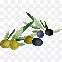 橄榄油产品超食橄榄+m