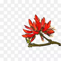 红花蛇赤莲-五倍子图片-杜鹃花图像剪贴画-杜鹃花图标