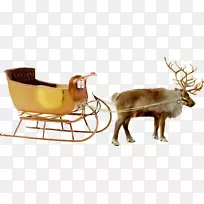 圣诞老人夫人。圣诞老人：驯鹿png图片雪橇-圣诞老人