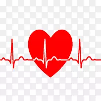 心电图机心率夹ART脉冲心脏