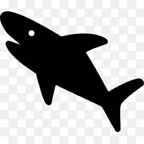 大白鲨剪贴画图片电脑图标-鲨鱼
