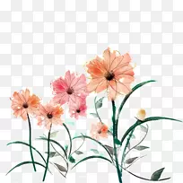 插画菊花形象花绿叶图案
