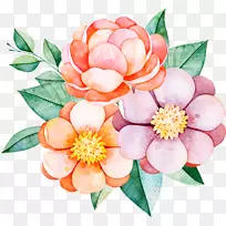 花卉花束设计牡丹水彩画-花