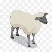 羊产品设计