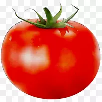 李子番茄灌木番茄食品蔬菜