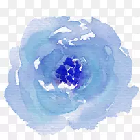 蓝玫瑰png图片水彩画：花画