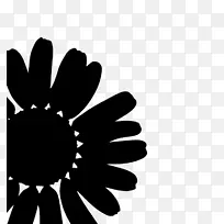 花瓣黑色婴儿