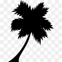 棕榈树插图图形艺术剪影
