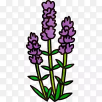 英国薰衣草植物茎切花紫剪艺术