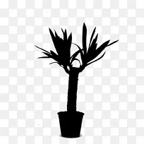 棕榈树，植物茎，花，叶轮廓