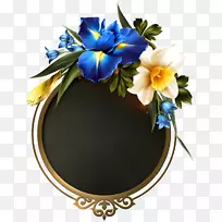 花卉设计剪贴画边框蓝色形象花