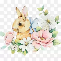 家用兔子复活节兔子插图png图片-兔子