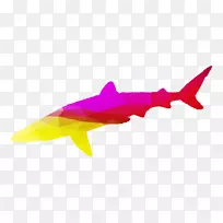 鲨鱼粉红的海洋轮廓