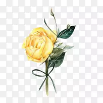 花园玫瑰花设计花卉png图片