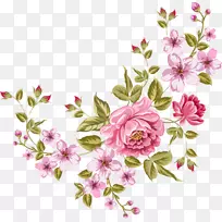 花型花束玫瑰粉红色花-花