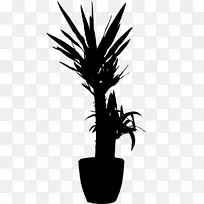 棕榈树花盆植物轮廓