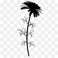 棕榈树，植物茎，小枝，叶花
