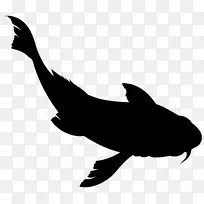 海豚剪贴画动物轮廓喙