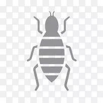 标识昆虫字体产品图案-昆虫