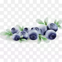 蓝莓产品身饰切花