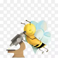 蜜蜂-哲学博士