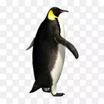 帝企鹅png图片图像剪辑艺术企鹅