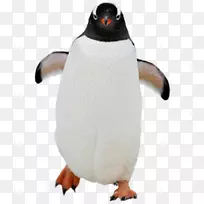 企鹅科瓦尔斯基png图片剪辑艺术船长-企鹅