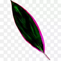 叶品红